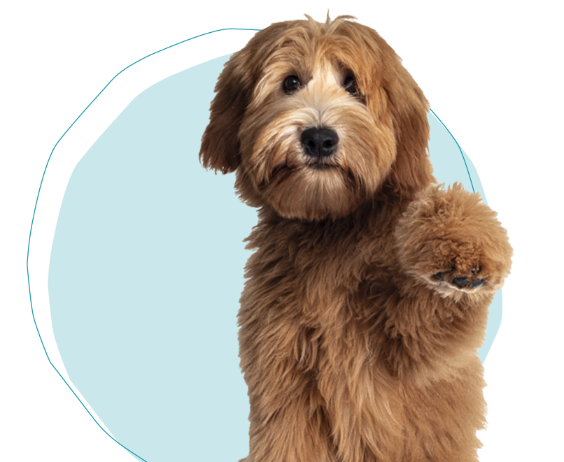 Afbeelding zonder ALT