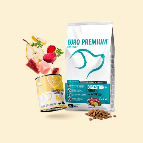 Une alimentation pour chiens