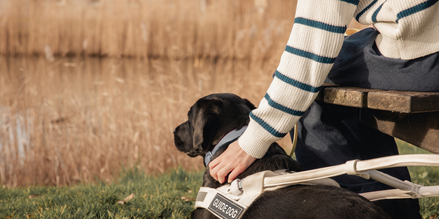 Dogs4Blind heeft jou nodig!