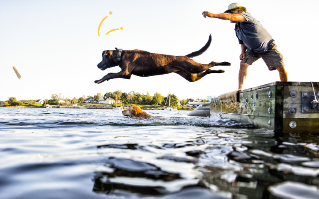 dock diving | EURO PREMIUM