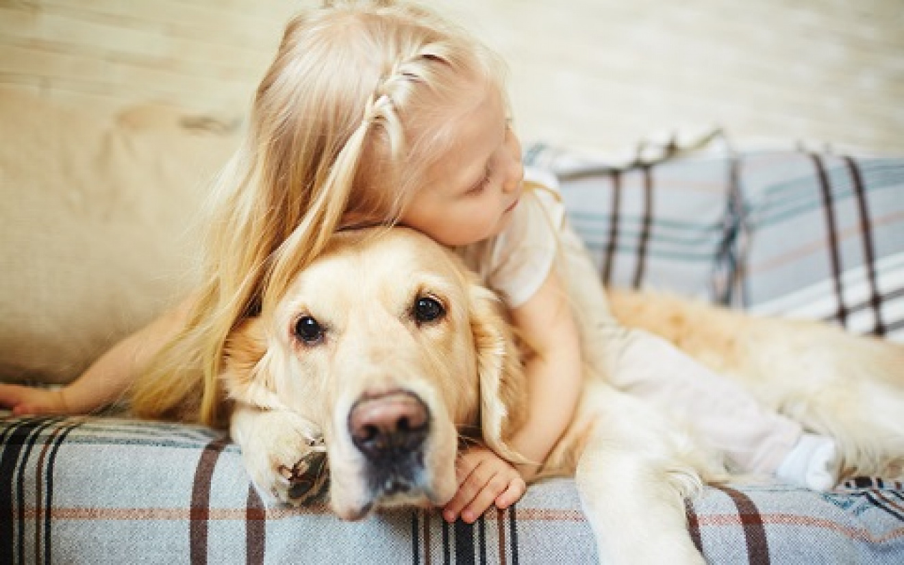 ga werken knijpen opgraven Een hond als de beste vriend van jouw kind | EURO PREMIUM