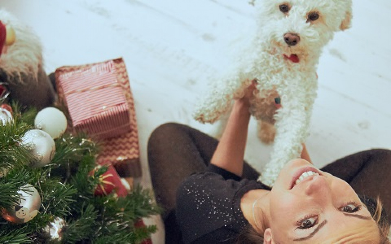 Heerlijk Levering morfine Maak van kerst een feestje, ook voor je hond! | EURO PREMIUM