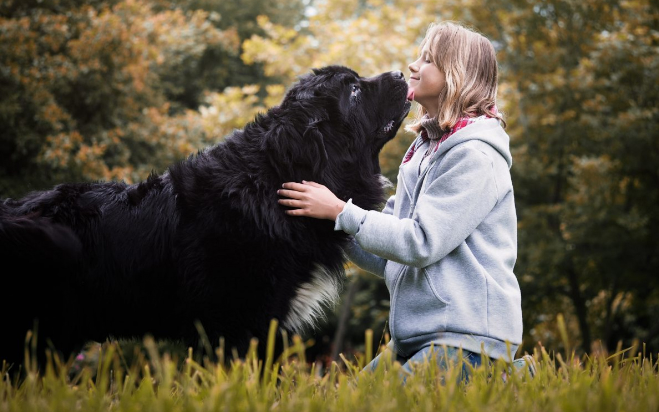 kindvriendelijke honden | EURO PREMIUM