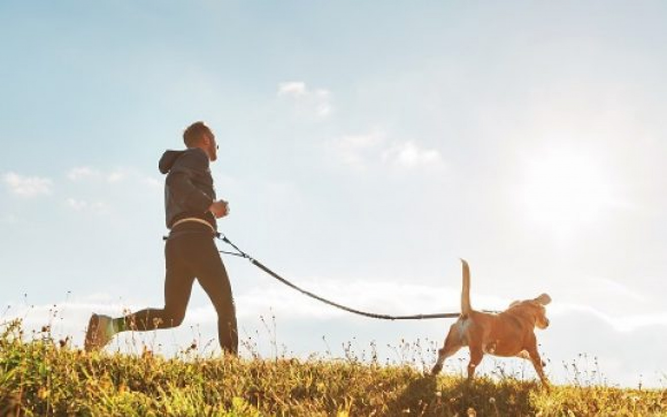 Courir avec son chien | EURO PREMIUM
