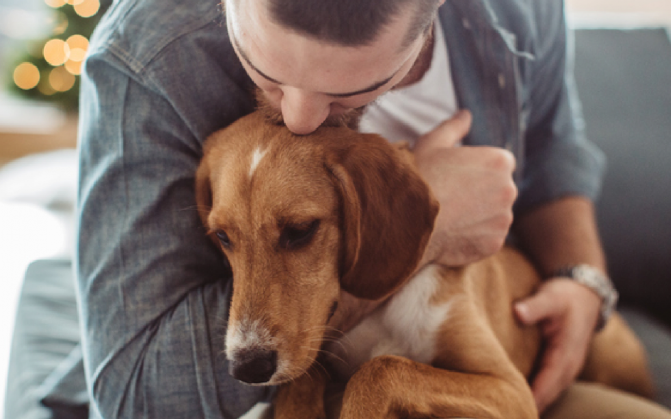 Welke hond past bij mij? | EURO PREMIUM 