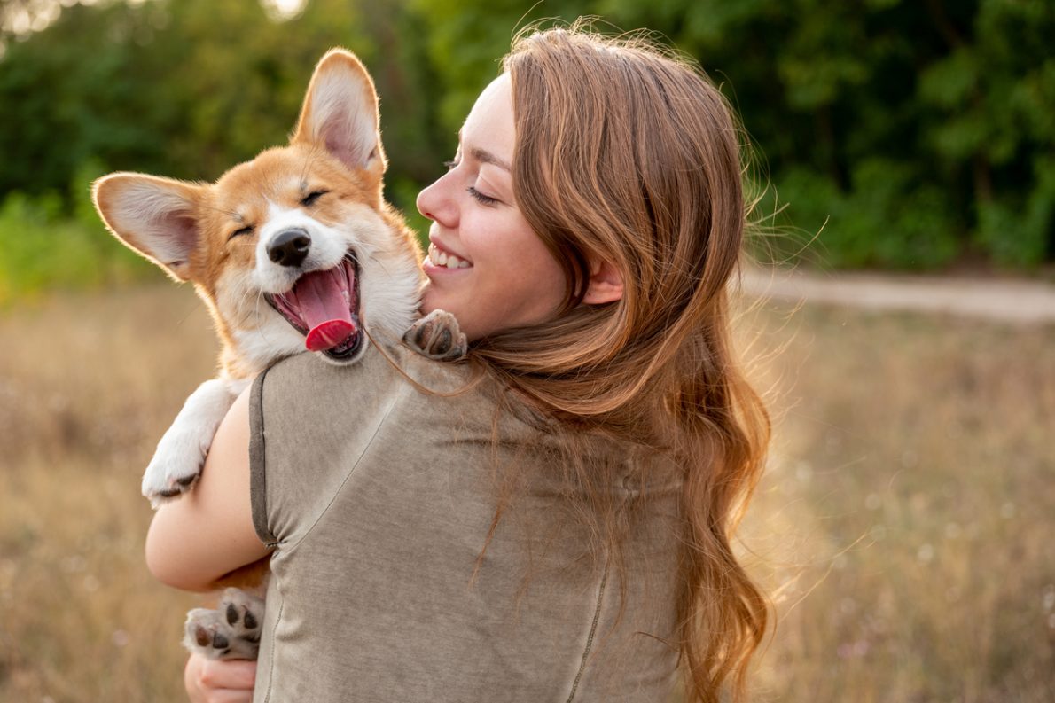 Welsh Corgi | EURO PREMIUM