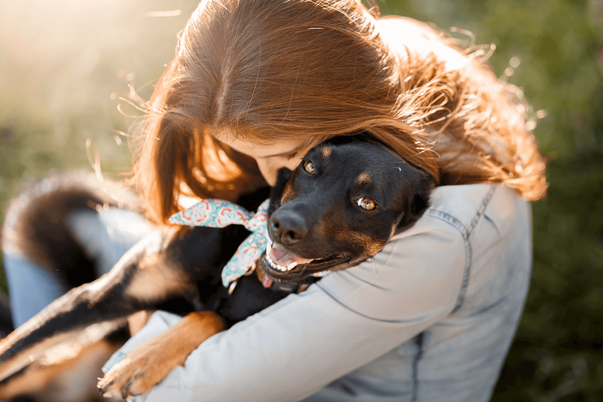 Hond adopteren | EURO PREMIUM
