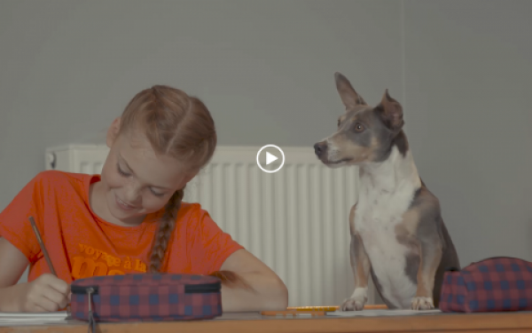 Honden en kinderen | EURO PREMIUM