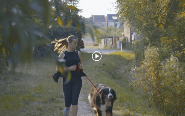 Hond goed voor je gezondheid | EURO PREMIUM