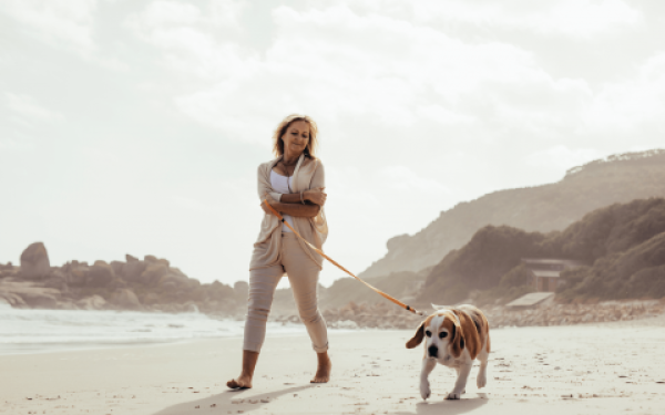 Je hond helpen afvallen: praktische tips bij overgewicht