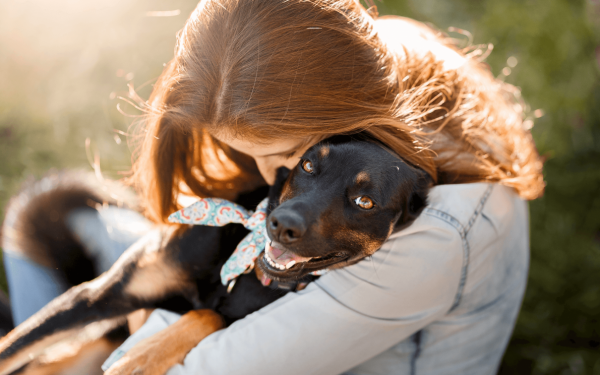 Hond adopteren | EURO PREMIUM