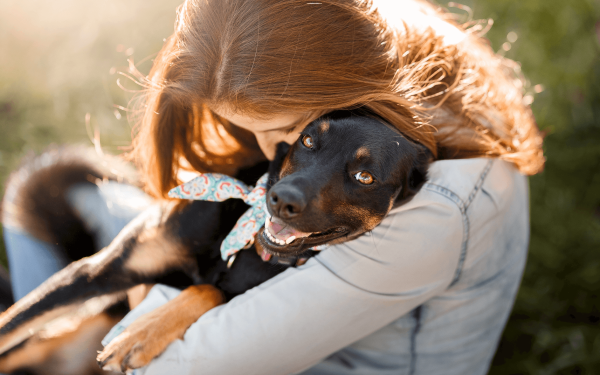 Un chiot à la maison