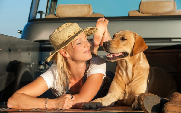 En voyage avec votre chien | EURO PREMIUM
