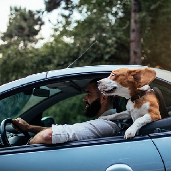 Reizen met je hond | EURO PREMIUM